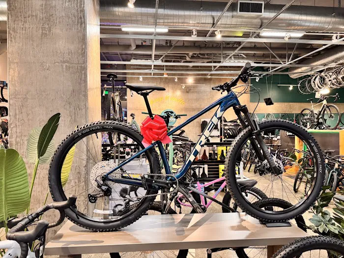 Mello Fellos Bike Shop Picture 3