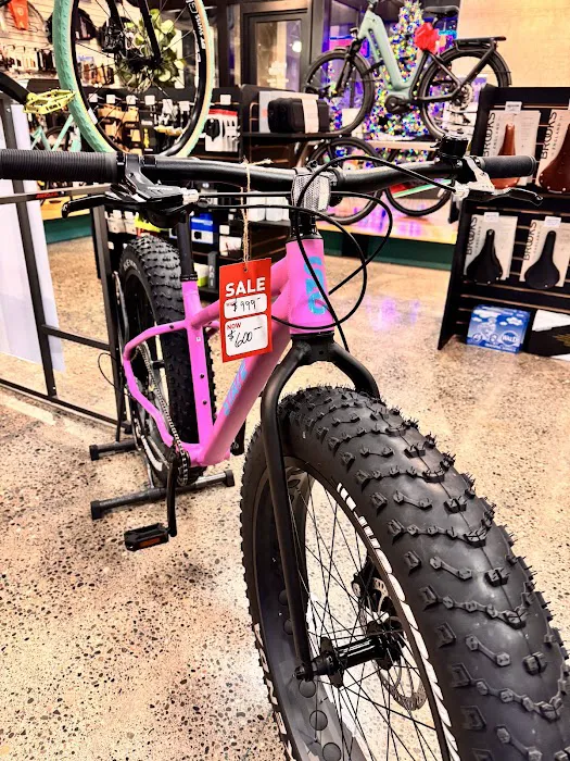 Mello Fellos Bike Shop Picture 9