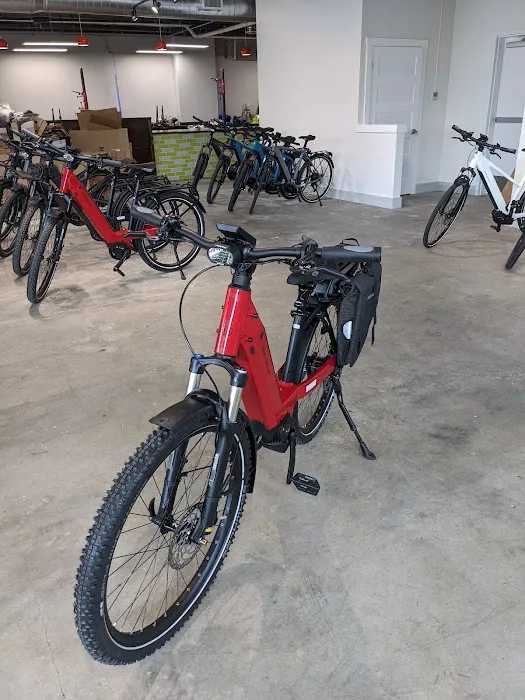 Dandelion Bikes Picture 2