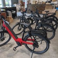 Dandelion Bikes ico