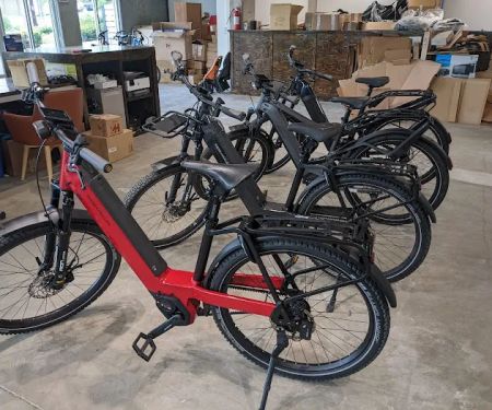 Dandelion Bikes