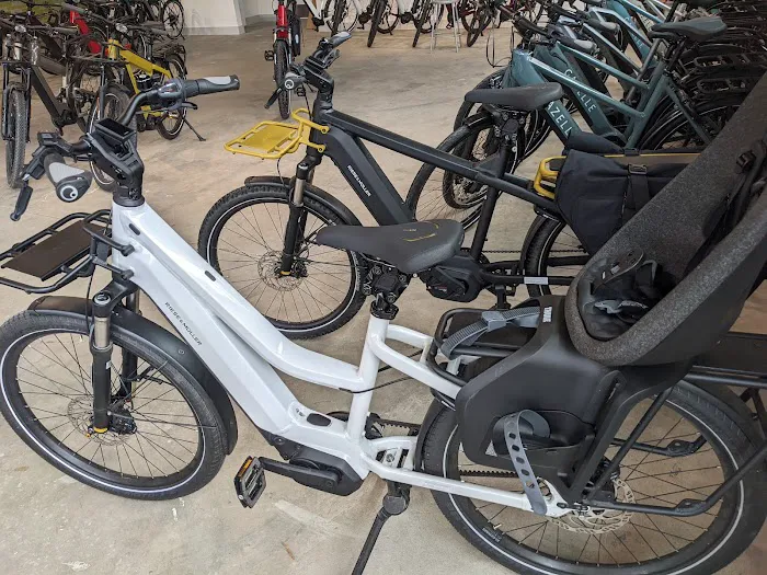 Dandelion Bikes Picture 6
