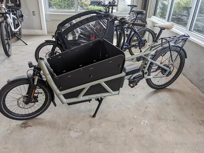 Dandelion Bikes Picture 3