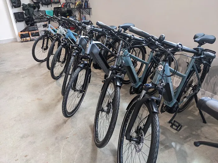 Dandelion Bikes Picture 5