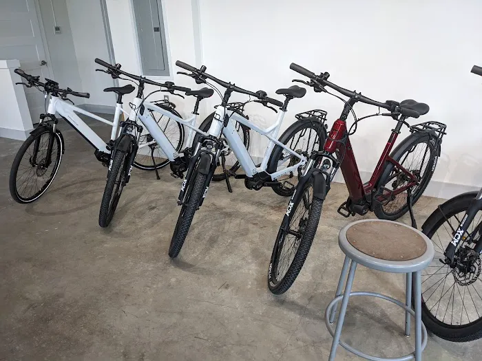 Dandelion Bikes Picture 10