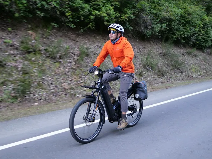 Dandelion Bikes Picture 9