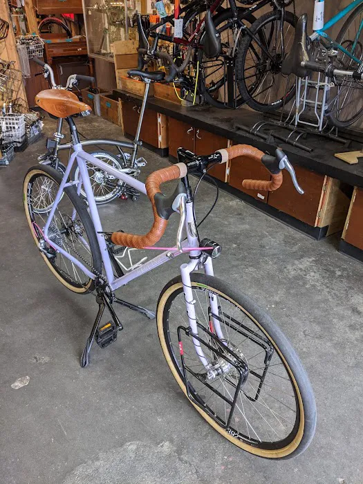 20/20 Cycle Picture 3