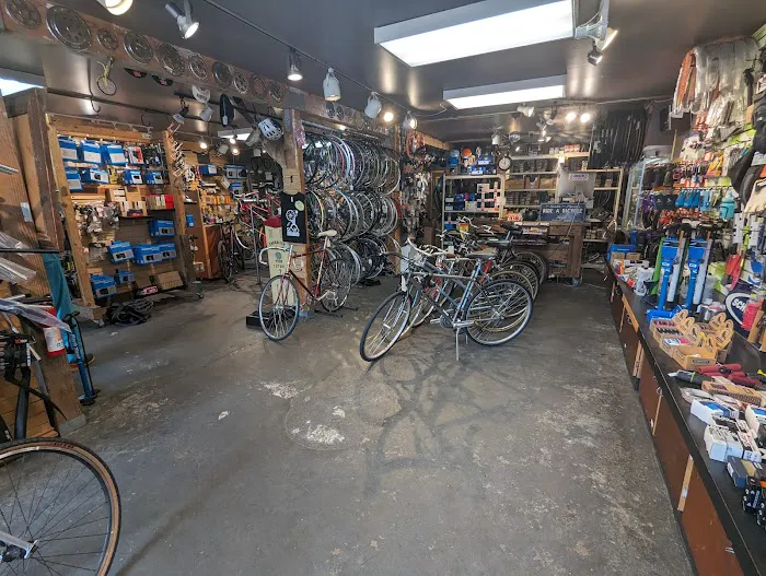 20/20 Cycle Picture 10