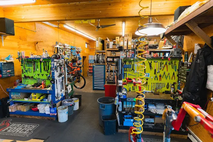 Montlake Bicycle Shop Picture 10