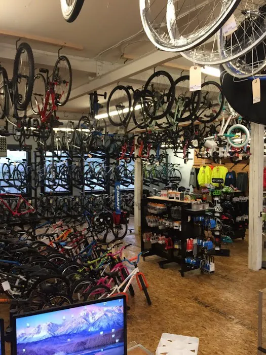 Westside Bicycle Picture 5
