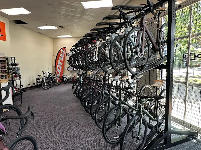 Ascent Cycles Picture 7
