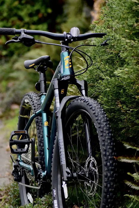 Alki Bike & Board Picture 3