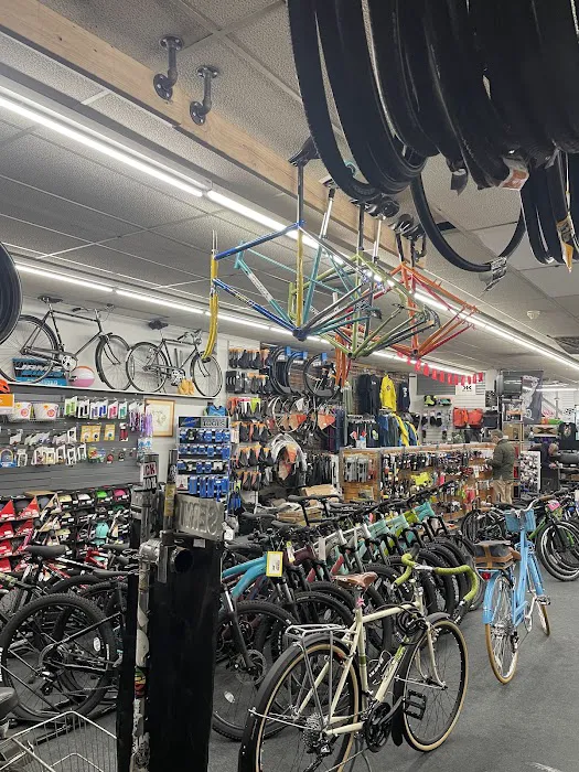 Alki Bike & Board Picture 2