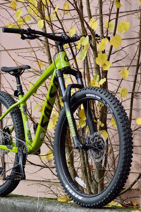 Alki Bike & Board Picture 4