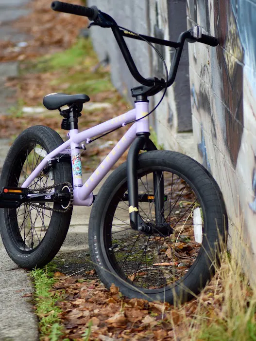 Alki Bike & Board Picture 8
