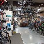 Recycled Cycles