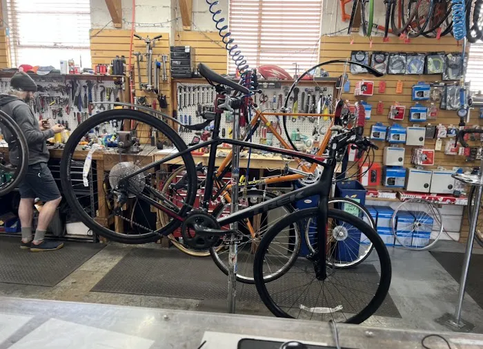 Recycled Cycles Picture 3