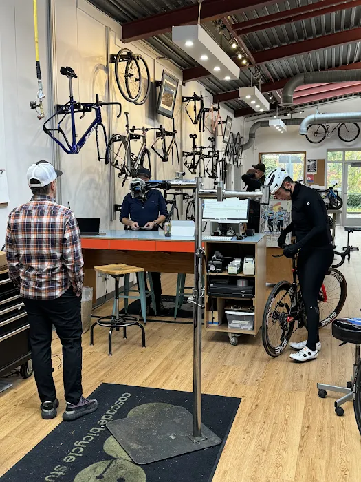 Cascade Bicycle Studio Picture 8