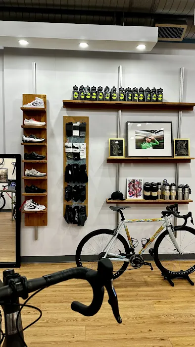 Cascade Bicycle Studio Picture 9