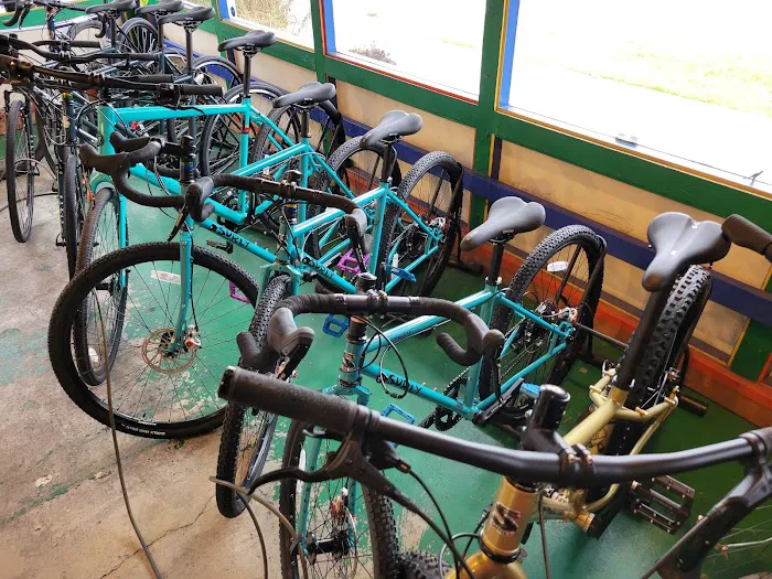 Free Range Cycles Picture 7