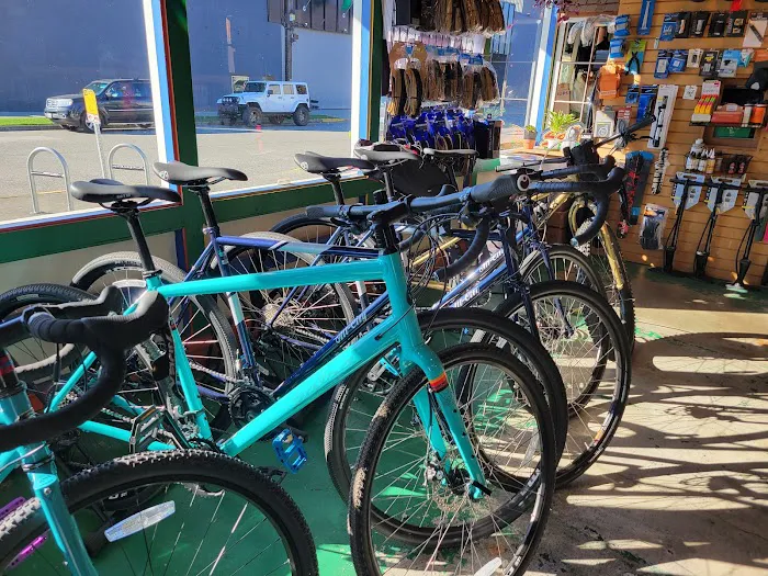 Free Range Cycles Picture 8