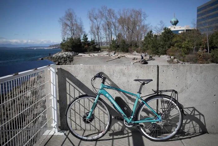 Hill Topper Electric Bike Company Picture 8