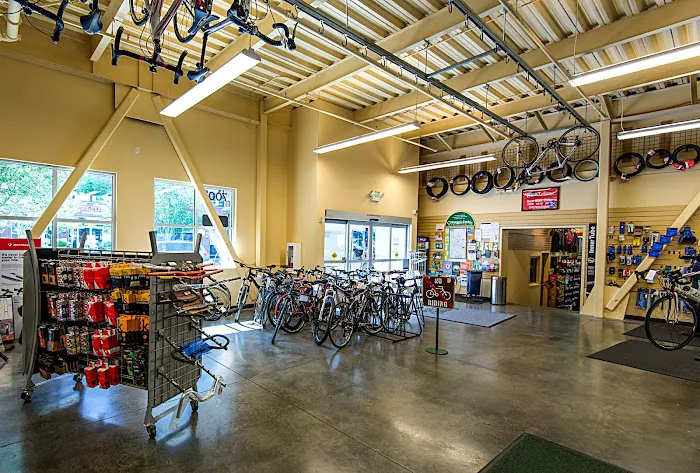 Gregg's Greenlake Cycle Picture 1