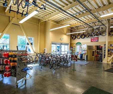 Gregg's Greenlake Cycle