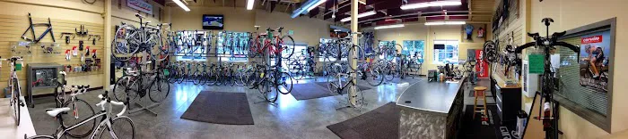 Gregg's Greenlake Cycle Picture 2