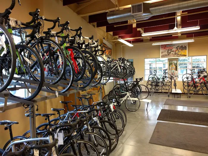 Gregg's Greenlake Cycle Picture 8
