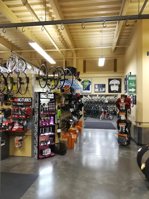 Gregg's Greenlake Cycle Picture 5
