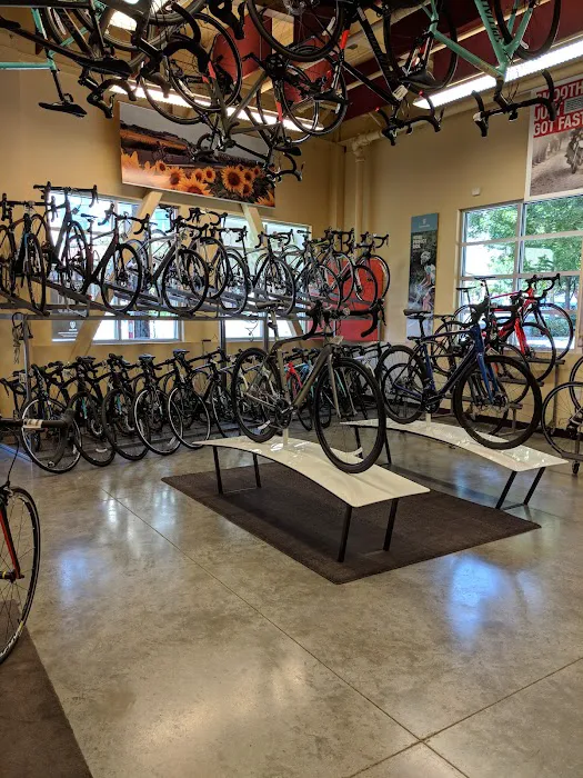 Gregg's Greenlake Cycle Picture 10