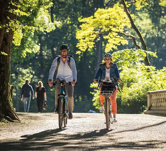 Seattle Electric Bike Picture 3