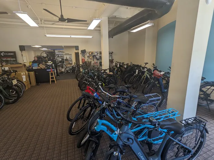 Seattle Electric Bike Picture 7