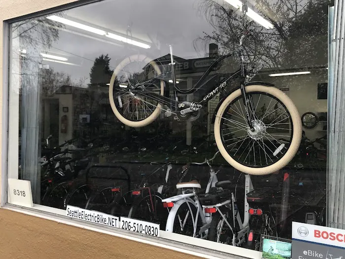 Seattle Electric Bike Picture 8