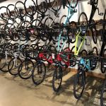 Trek Bicycle Tukwila Southcenter