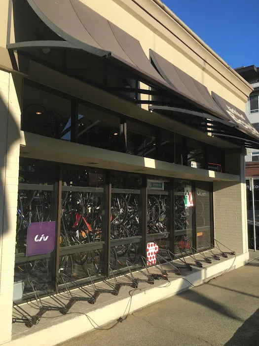 Kirkland Bicycle Picture 1