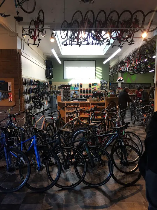 Kirkland Bicycle Picture 8