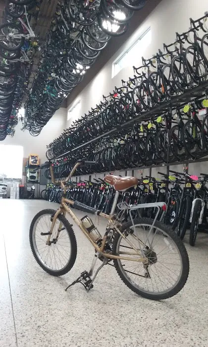 Center Cycle Picture 8