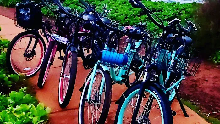 X-Treme Scooters Picture 7