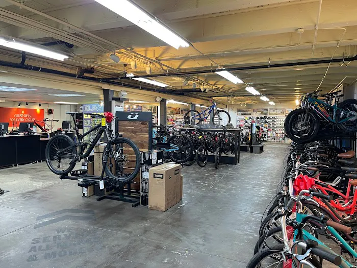 Trek Bicycle Tacoma North End Picture 10