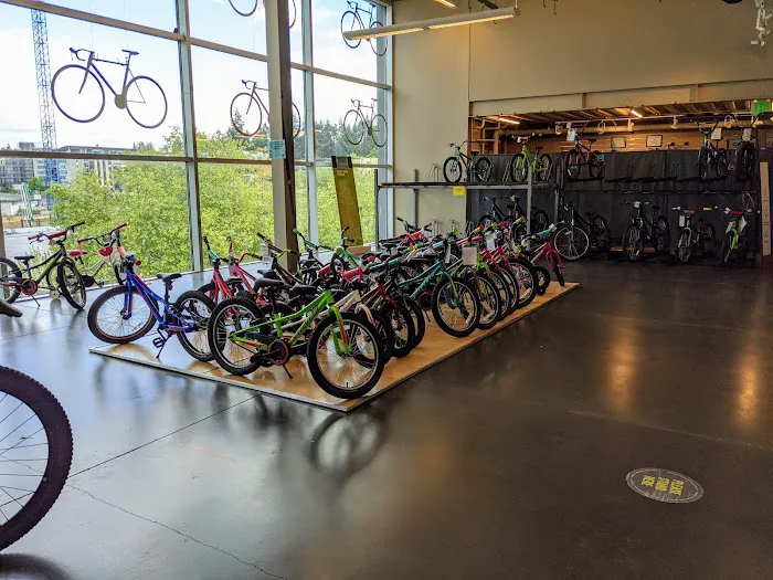Gregg's Bellevue Cycle Picture 2