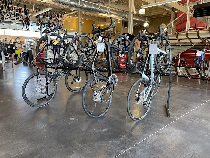 Gregg's Bellevue Cycle Picture 7