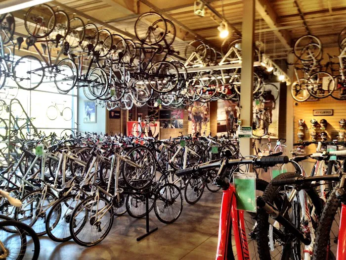 Gregg's Bellevue Cycle Picture 6