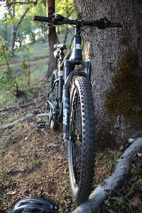 Flatbike Picture 4