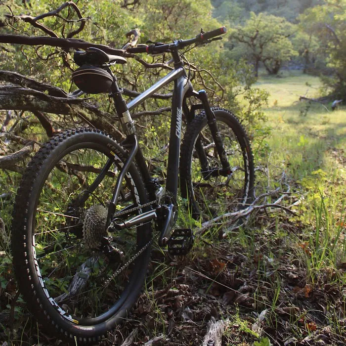 Flatbike Picture 5