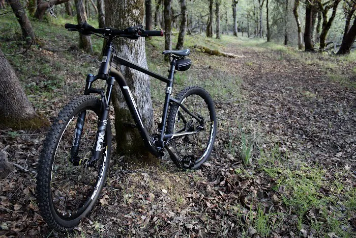 Flatbike Picture 9