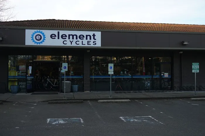 Element Cycles Picture 4