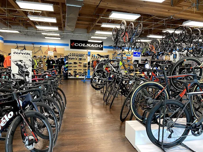 Element Cycles Picture 5