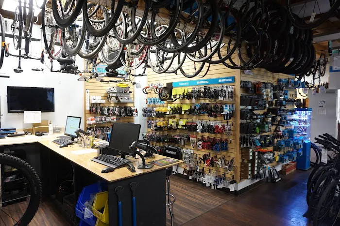 Element Cycles Picture 3